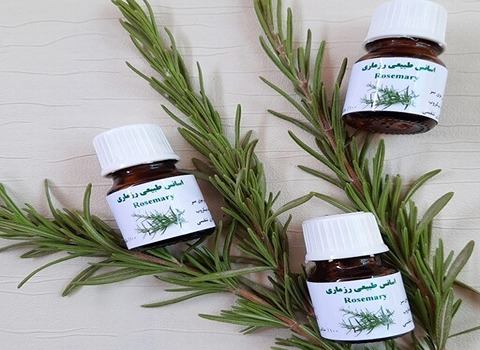 قیمت خرید اسانس طبیعی رزماری عمده به صرفه و ارزان